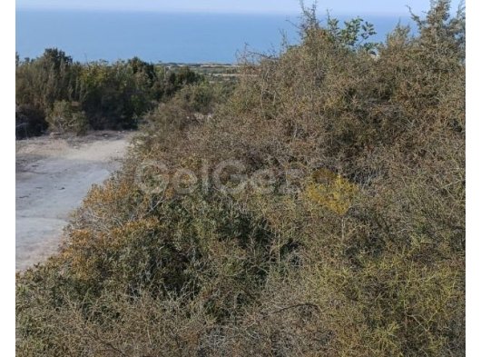 REVİZYON GAYRİMENKUL'DEN YENİERENKÖY'DE SATILIK ARAZİ