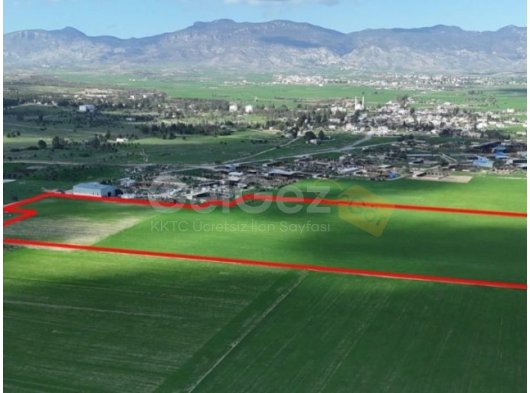 ULUKIŞLA'DA YOL ÜSTÜNDE SATILIK 56 DÖNÜM ARAZİ