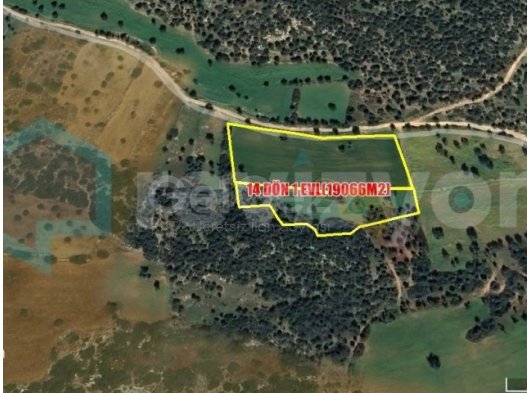 REVİZYON GAYRİMENKUL'DEN TAŞLICA'DA SATILIK ARAZİ