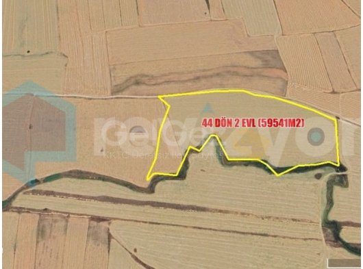 REVİZYON GAYRİMENKUL'DEN ULUKIŞLA'DA SATILIK ARAZİ