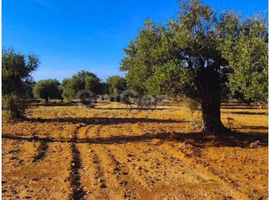 REVİZYON GAYRİMENKUL'DEN TATLISU'DA SATILIK ARAZİ