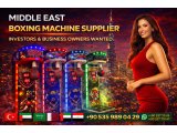 Boxing Machines for Businesses | High-Profit Arcade Machines for Bars, Hotels & Entertainment Venues