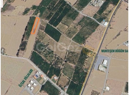 Satılık Türk koçanlı arsa