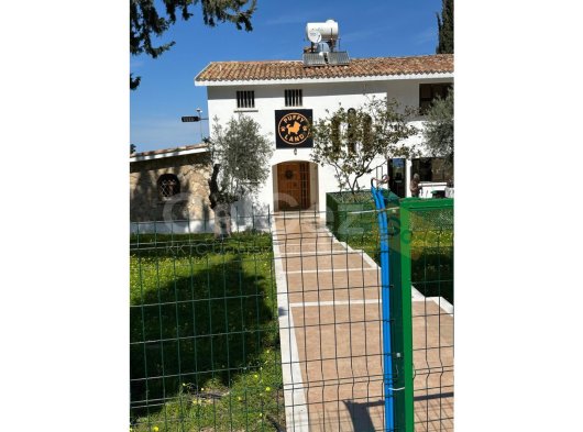 Puffy Land Cyprus, küçük ırk dostlarınız için güvenli, sevgi dolu ve konforlu bir konaklama alanı