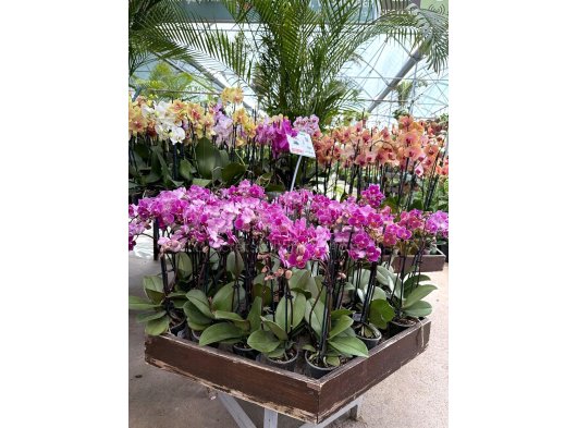 Doğanın en güzel haliyle buluşmaya hazır mısınız?