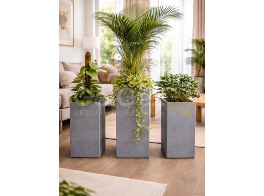 Şıklığın en sade hali Premium beton saksılar.