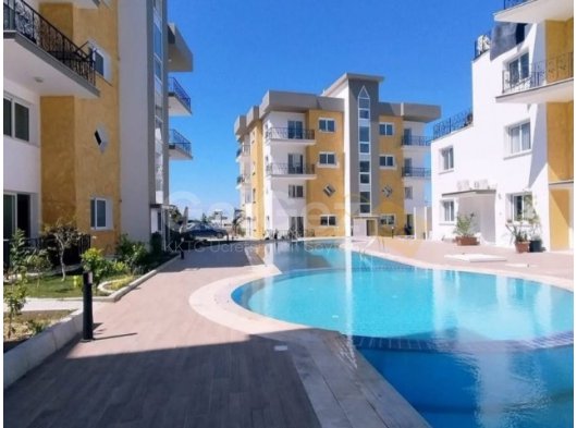 1 Yatak Odalı Lüks Daire Kiralık - Ortak Havuz