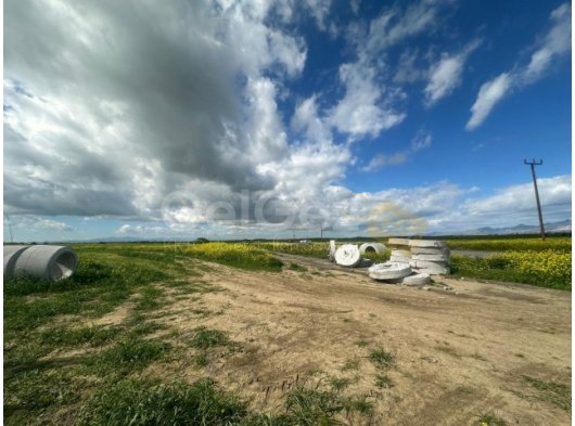 LEFKOŞA ERCAN HAVALİMANI YOLU ÜSTÜNDE ARSALAR ( ARAÇ - DAİRE TAKASINA AÇIKTIR )