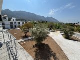 Girne Lapta'da Lapta Oteller Bölgesine Yakın Kiralık Sıfır Eşyalı 2+1 Daire