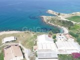 OZANKÖY DE SATILIK 4 DÖNÜM TARLA