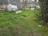 GİRNE KARAOGLANDA GENİS BAHCELİ AYRİ MUTFAK GİBİ AVANTAJLARİ BULUNAN KİRALİK 1+1 FULL ESYALİ DAİRE