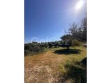 Girne/Esentepe'de İmara Açık Satılık Arazi. Ana Yola ~500 Metre Denize İse ~700 Metre Mesafede!