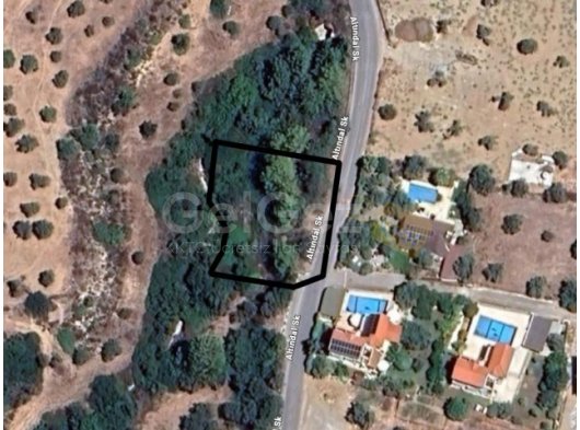 TÜRK KOÇAN ARSA ZEYTİNLİK BÖLGESİ