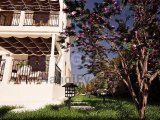 Bafra’nın Otel ve Turizm Bölgesi İle Hızla Gelişen İskele Hattı Arasında Konumlanan Bu 3 Yatak Odalı Müstakil Villa, Geniş Arsa Payı, Gelecekte Proje Geliştirme