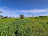 Yeni Erenköy Bölgesinde Denize 300 metre Uzaklıkta Satılık Tarla!