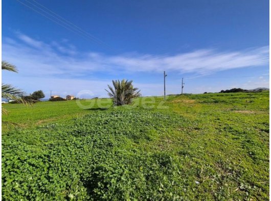 Yeni Erenköy Bölgesinde Denize 300 metre Uzaklıkta Satılık Tarla!