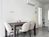 Essentepe, Olıve Grove, 1+1