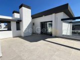 Famagusta , OLIVE COURT 2+2