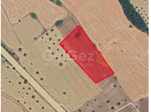 Bütükkonuk senmar anayolunda satılık 6018 metre kare tarla (resmi yolu var )