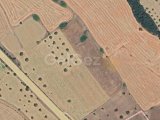 Bütükkonuk senmar anayolunda satılık 6018 metre kare tarla (resmi yolu var )