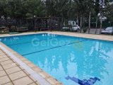 Girne Alsancakta ortak havuzlu 3+1 daire
