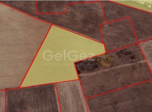 Mağusa mutluyakada satılık 8036 metre kare tarla