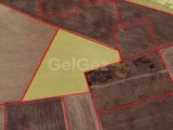 Mağusa mutluyakada satılık 8036 metre kare tarla