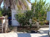 Mağusa tuzlada 5+1 satılık villa (acil satılık )