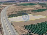 Güzelyurt Anayoluna Sıfır Konumda 6325 m² Arazi