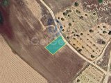 Muratağa'da Türk Koçan 470 m² Arsa
