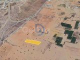 Kalkanlı'da Yatırım Fırsatı 8.550 m² Tarla