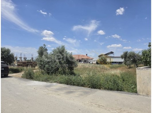 CİHANGİR'DE, ÇEVRESİNDE MÜSTAKİL VİLLALARIN BULUNDUĞU ÇOK İYİ KONUMDA, 1266 METREKARE (İKİ ARSA BÜYÜKLÜĞÜNDE), İSKELE ANAYOLU İLE MAĞUSA ÇİFT ŞERİTLİ ANAYOL