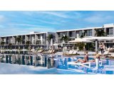 Courtyard Platinum Live Experience