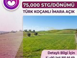 DOĞANCI'DA İMARA AÇIK SATILIK TÜRK KOÇANLI ARSA