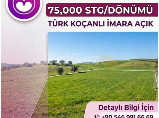 DOĞANCI'DA İMARA AÇIK SATILIK TÜRK KOÇANLI ARSA