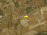 FİYAT DÜŞTÜ ACİL SATILIK !!! İSKELE YEŞİLKÖY'DE RESMİ YOLU OLAN FIRSAT NİTELİĞİNDE ARAZİ