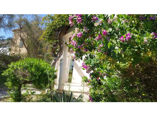 WONDERFUL 4 BEDROOM VILLA WITH PRIVATE POOL ON A 2.5 DONUMS OF LAND IN EDREMIT £980,000