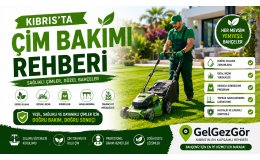 Kıbrıs'ta Çim Bakımı Rehberi