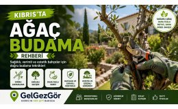 Kıbrıs'ta Ağaç Budama Rehberi