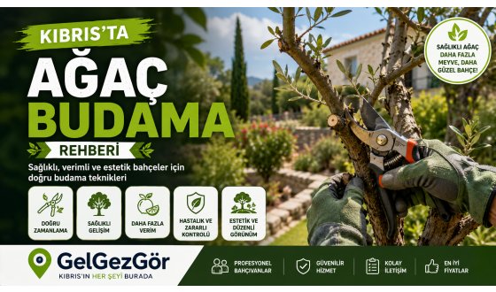Kıbrıs'ta Ağaç Budama Rehberi