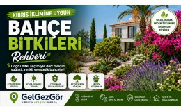 Kıbrıs İklimine Uygun Bahçe Bitkileri Rehberi