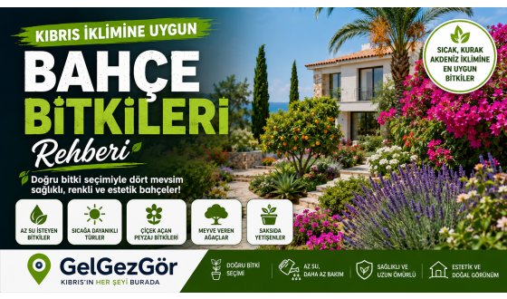 Kıbrıs İklimine Uygun Bahçe Bitkileri Rehberi