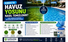 Kıbrıs'ta Havuz Yosunu Nasıl Temizlenir?