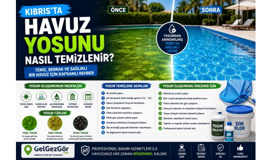 Kıbrıs'ta Havuz Yosunu Nasıl Temizlenir?