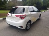 2019 Model Otomatik Toyota Vitz