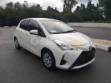 2019 Model Otomatik Toyota Vitz