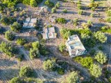 Girne Zeytinlik 3168m2 Satılık Arsa