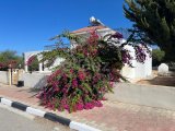 Girne Alsancak'ta 3+1 Kiralık Villa