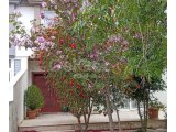LEFKOŞA’nın EN NEZİH SEMTİ YENİKENT’de VİLLALAR BÖLGESİNDE SOLAR SİSTEMLİ 2+1 ENSUITE KİRALIK VİLLA