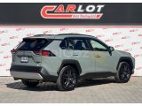 Toyota RAV4 2.5 Hybird Adventure (En Donanımlı Paket)